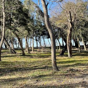 Photo #21 of SOLD property in Off Hungars Beach Road, Cape Charles, VA 1.6 acres