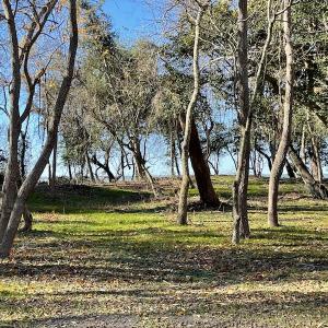 Photo #22 of SOLD property in Off Hungars Beach Road, Cape Charles, VA 1.6 acres