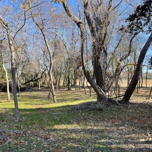 Photo #23 of SOLD property in Off Hungars Beach Road, Cape Charles, VA 1.6 acres
