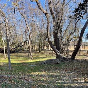 Photo #23 of SOLD property in Off Hungars Beach Road, Cape Charles, VA 1.6 acres
