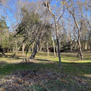 Photo #24 of SOLD property in Off Hungars Beach Road, Cape Charles, VA 1.6 acres