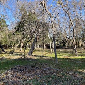 Photo #24 of SOLD property in Off Hungars Beach Road, Cape Charles, VA 1.6 acres