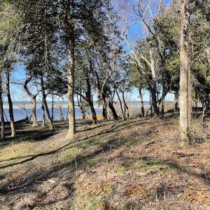 Photo #25 of SOLD property in Off Hungars Beach Road, Cape Charles, VA 1.6 acres
