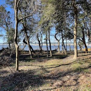 Photo #26 of SOLD property in Off Hungars Beach Road, Cape Charles, VA 1.6 acres