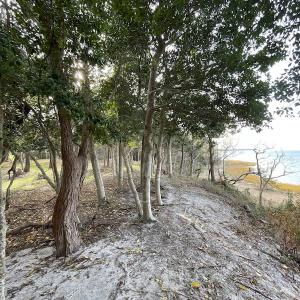 Photo #27 of SOLD property in Off Hungars Beach Road, Cape Charles, VA 1.6 acres