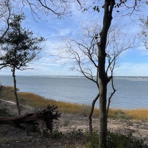 Photo #29 of SOLD property in Off Hungars Beach Road, Cape Charles, VA 1.6 acres