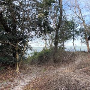 Photo #30 of SOLD property in Off Hungars Beach Road, Cape Charles, VA 1.6 acres