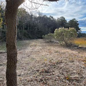 Photo #32 of SOLD property in Off Hungars Beach Road, Cape Charles, VA 1.6 acres
