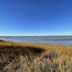 Photo #33 of SOLD property in Off Hungars Beach Road, Cape Charles, VA 1.6 acres