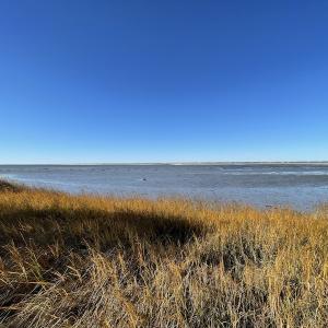 Photo #33 of SOLD property in Off Hungars Beach Road, Cape Charles, VA 1.6 acres