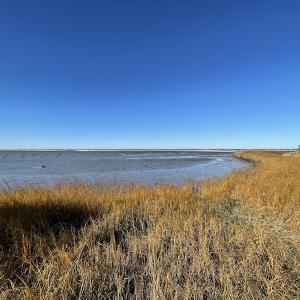 Photo #34 of SOLD property in Off Hungars Beach Road, Cape Charles, VA 1.6 acres