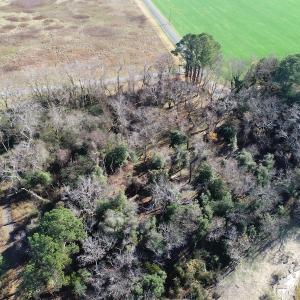 Photo #6 of SOLD property in Off Hungars Beach Road, Cape Charles, VA 1.6 acres