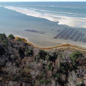 Photo #7 of SOLD property in Off Hungars Beach Road, Cape Charles, VA 1.6 acres