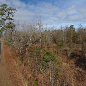 Photo #4 of SOLD property in Near 136 Lawrence Tedder Road, Whiteville, NC 10.0 acres