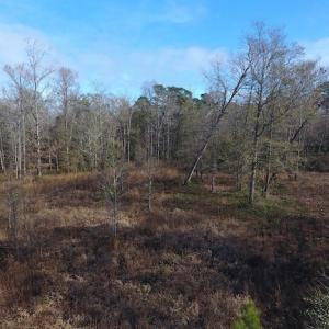 Photo #5 of SOLD property in Near 136 Lawrence Tedder Road, Whiteville, NC 10.0 acres