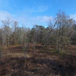 Photo #7 of SOLD property in Near 136 Lawrence Tedder Road, Whiteville, NC 10.0 acres