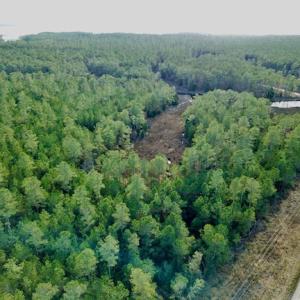 Photo #3 of Lot #28 Sandy Point, Scranton, NC 19.0 acres