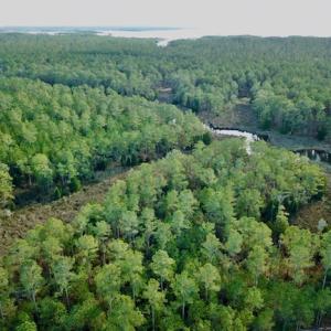 Photo #4 of Lot #28 Sandy Point, Scranton, NC 19.0 acres