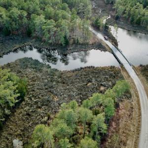 Photo #6 of Lot #28 Sandy Point, Scranton, NC 19.0 acres