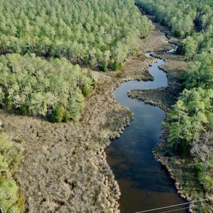 Photo #7 of Lot #28 Sandy Point, Scranton, NC 19.0 acres