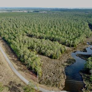 Photo #8 of Lot #28 Sandy Point, Scranton, NC 19.0 acres