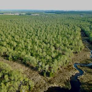 Photo #9 of Lot #28 Sandy Point, Scranton, NC 19.0 acres