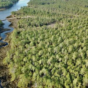 Photo #13 of Lot #28 Sandy Point, Scranton, NC 19.0 acres