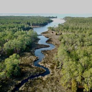 Photo #15 of Lot #28 Sandy Point, Scranton, NC 19.0 acres