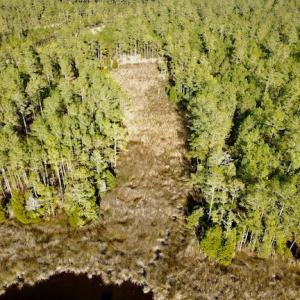 Photo #16 of Lot #28 Sandy Point, Scranton, NC 19.0 acres