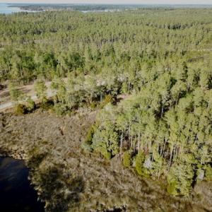 Photo #17 of Lot #28 Sandy Point, Scranton, NC 19.0 acres