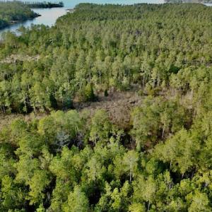 Photo #20 of Lot #28 Sandy Point, Scranton, NC 19.0 acres