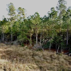 Photo #29 of Lot #28 Sandy Point, Scranton, NC 19.0 acres