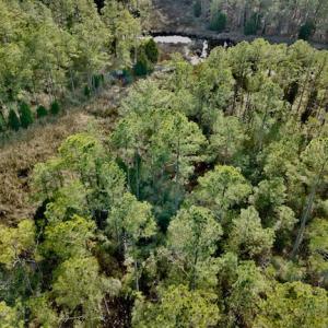 Photo #30 of Lot #28 Sandy Point, Scranton, NC 19.0 acres