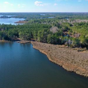Photo #6 of SOLD property in 1270 Swan Point Road, Bayboro, NC 6.7 acres