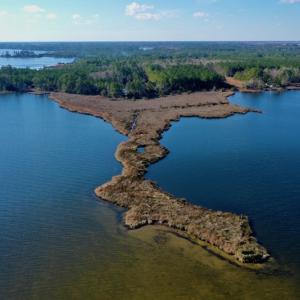 Photo #7 of SOLD property in 1270 Swan Point Road, Bayboro, NC 6.7 acres
