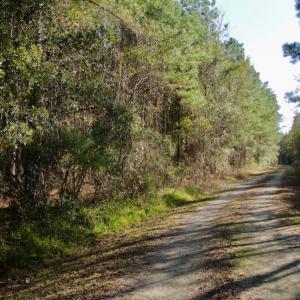Photo #10 of SOLD property in 1270 Swan Point Road, Bayboro, NC 6.7 acres