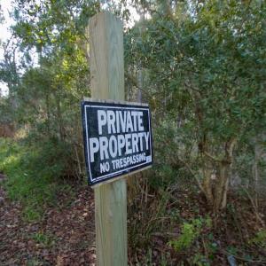 Photo #13 of SOLD property in 1270 Swan Point Road, Bayboro, NC 6.7 acres