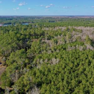 Photo #4 of SOLD property in 1270 Swan Point Road, Bayboro, NC 18.9 acres