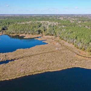 Photo #6 of SOLD property in 1270 Swan Point Road, Bayboro, NC 18.9 acres