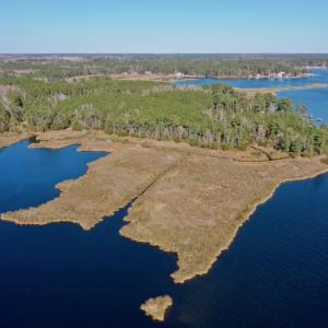 Photo #7 of SOLD property in 1270 Swan Point Road, Bayboro, NC 18.9 acres