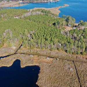 Photo #10 of SOLD property in 1270 Swan Point Road, Bayboro, NC 18.9 acres