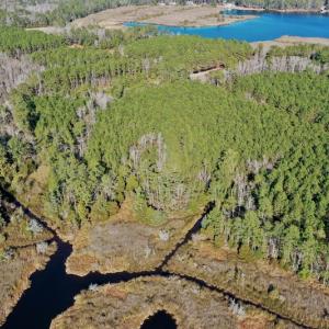Photo #11 of SOLD property in 1270 Swan Point Road, Bayboro, NC 18.9 acres
