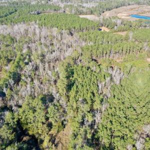 Photo #12 of SOLD property in 1270 Swan Point Road, Bayboro, NC 18.9 acres