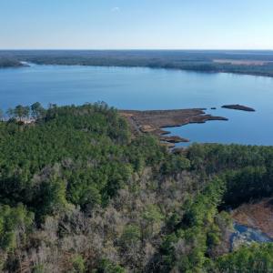 Photo #13 of SOLD property in 1270 Swan Point Road, Bayboro, NC 18.9 acres