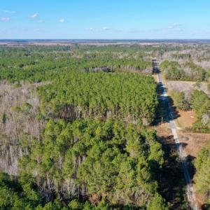 Photo #14 of SOLD property in 1270 Swan Point Road, Bayboro, NC 18.9 acres