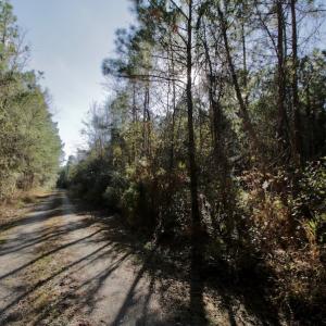 Photo #16 of SOLD property in 1270 Swan Point Road, Bayboro, NC 18.9 acres