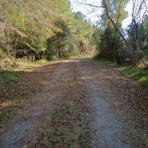 Photo #19 of SOLD property in 1270 Swan Point Road, Bayboro, NC 18.9 acres