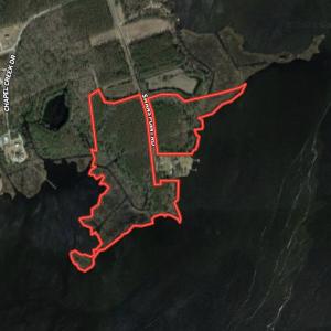 Photo #21 of SOLD property in 1270 Swan Point Road, Bayboro, NC 18.9 acres