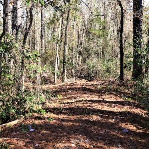 Photo #12 of Off Yarborough Road, Parkton, NC 37.9 acres