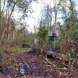 Photo #16 of Off Yarborough Road, Parkton, NC 37.9 acres